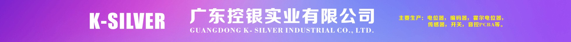  廣東控銀實業有限公司